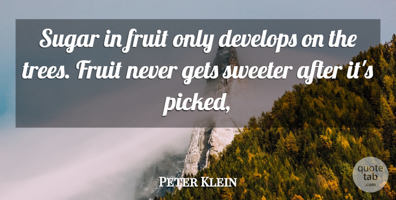 Peter Klein Quote About Develops, Fruit, Gets, Sugar, Sweeter: Sugar In Fruit Only Develops...