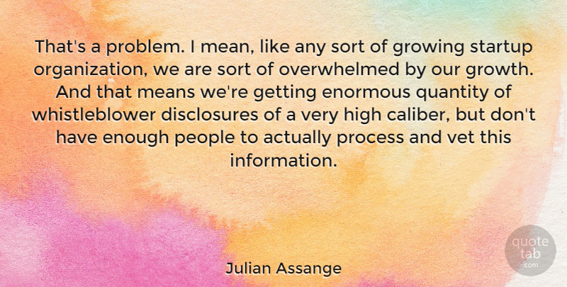 Julian Assange Quote About Mean, Enormous Quantities, Organization: Thats A Problem I Mean...