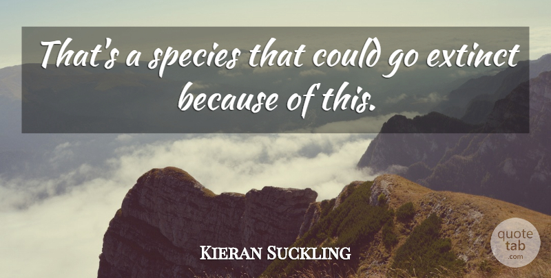 Kieran Suckling Quote About Extinct, Species: Thats A Species That Could...