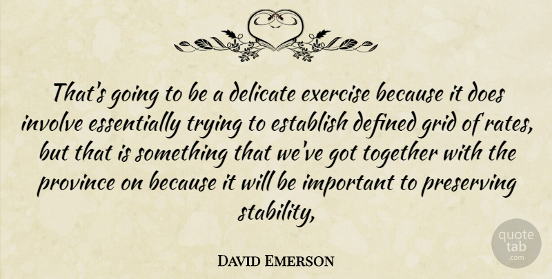 David Emerson Quote About Defined, Delicate, Establish, Exercise, Grid: Thats Going To Be A...