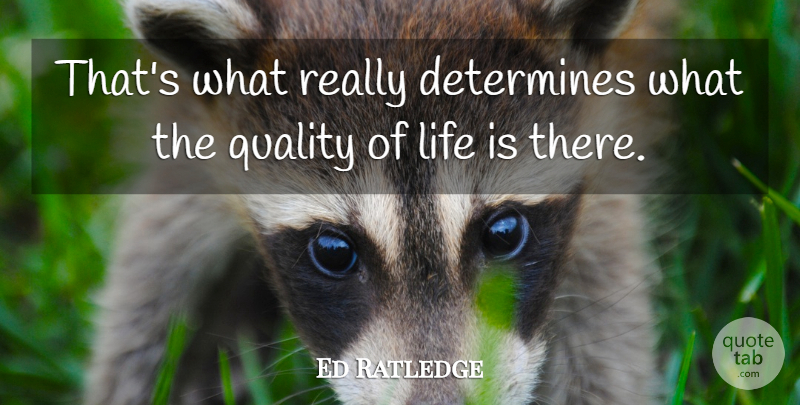 Ed Ratledge Quote About Determines, Life, Quality: Thats What Really Determines What...