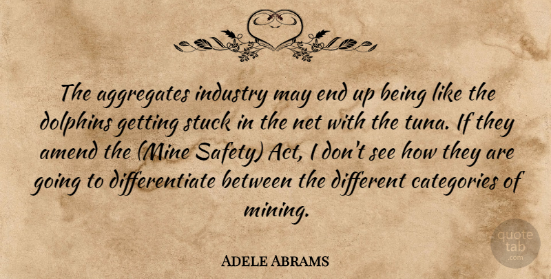 Adele Abrams Quote About Categories, Dolphins, Industry, Net, Stuck: The Aggregates Industry May End...