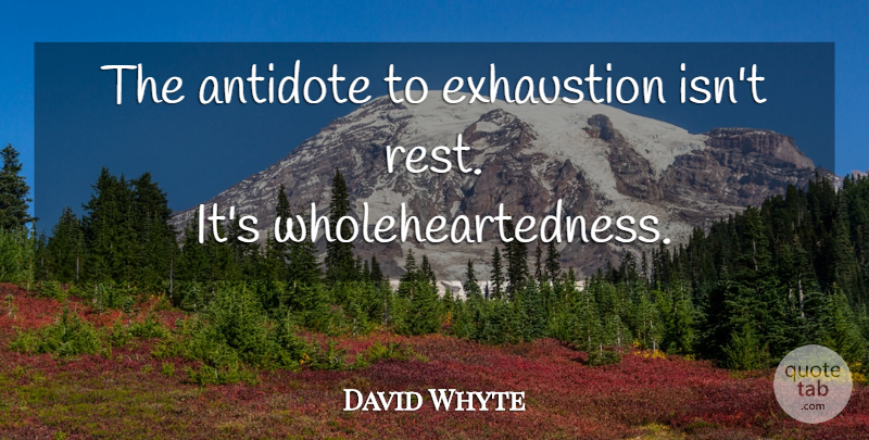 David Whyte Quote About Inspirational, Wholeheartedness, Antidote: The Antidote To Exhaustion Isnt...