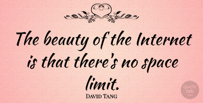David Tang Quote About Space, Limits, Internet: The Beauty Of The Internet...