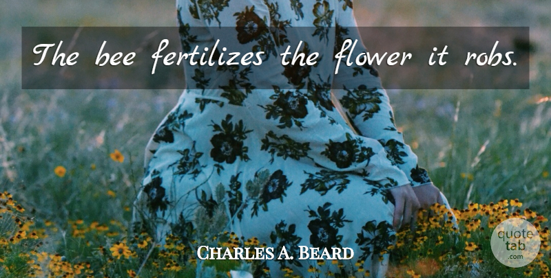 Charles A. Beard Quote About Flower, Bees, Grind: The Bee Fertilizes The Flower...