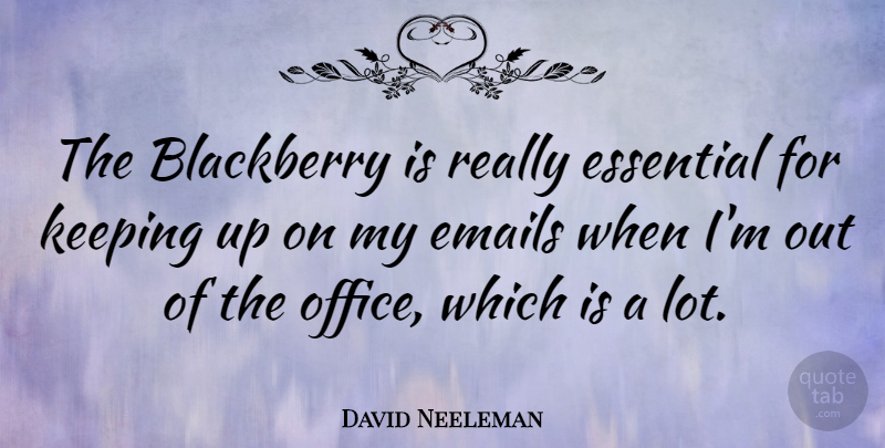David Neeleman Quote About Office, Email, Essentials: The Blackberry Is Really Essential...