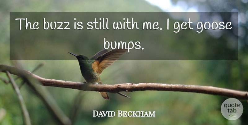 David Beckham Quote About Inspirational, Buzz, Bumps: The Buzz Is Still With...