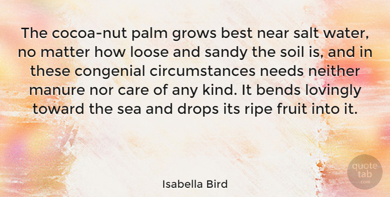 Isabella Bird Quote About Bends, Best, Care, Congenial, Drops: The Cocoa Nut Palm Grows...