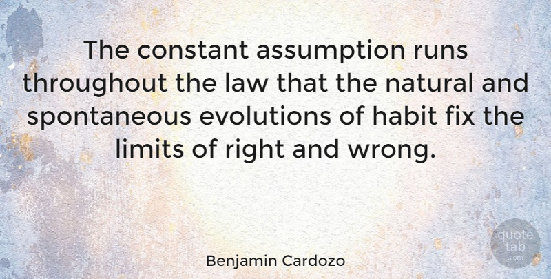 Benjamin Cardozo Quote About Running, Law, Limits: The Constant Assumption Runs Throughout...
