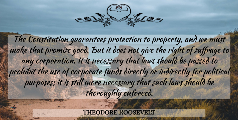 Theodore Roosevelt Quote About Law, Giving, Political: The Constitution Guarantees Protection To...