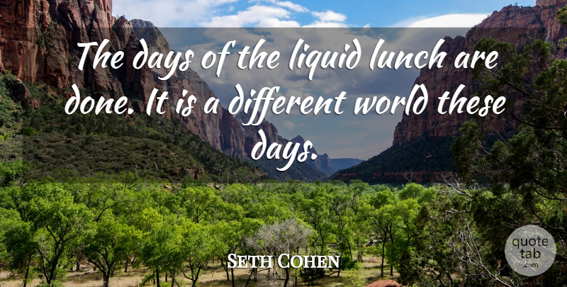 Seth Cohen Quote About Days, Liquid, Lunch: The Days Of The Liquid...