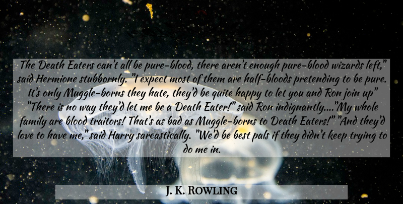 J. K. Rowling Quote About Hate, Blood, Death Eaters: The Death Eaters Cant All...