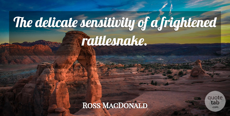 Ross MacDonald Quote About Frightened, Rattlesnakes, Sensitivity: The Delicate Sensitivity Of A...