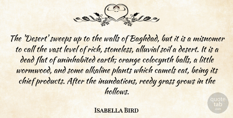 Isabella Bird Quote About Call, Camels, Chief, Flat, Grass: The Desert Sweeps Up To...