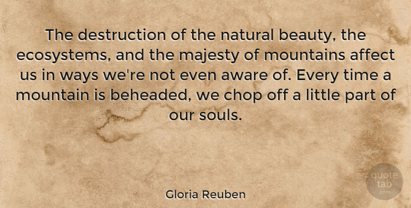Gloria Reuben Quote About Ecosystems, Soul, Mountain: The Destruction Of The Natural...