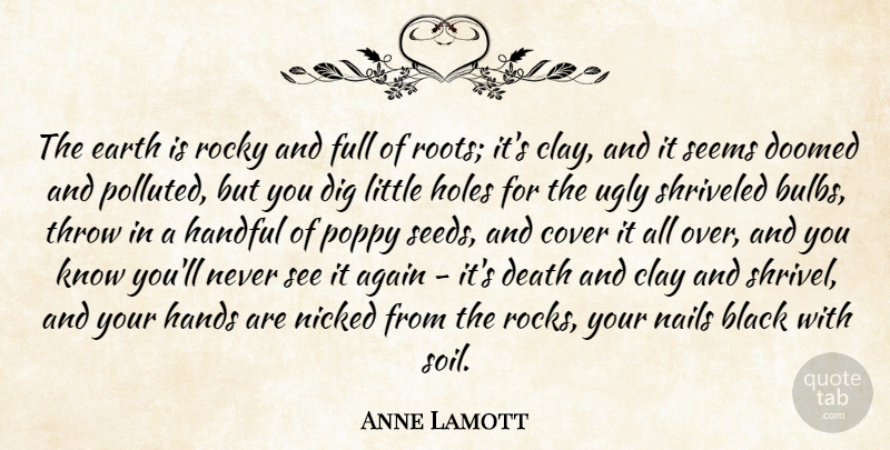 Anne Lamott Quote About Rocks, Hands, Roots: The Earth Is Rocky And...