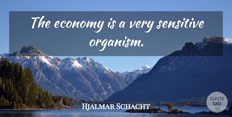 Hjalmar Schacht Quote About Finance, Sensitive, Economy: The Economy Is A Very...