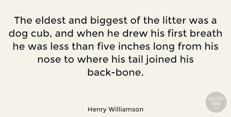 Henry Williamson Quote About Biggest, Breath, Drew, Eldest, English Author: The Eldest And Biggest Of...