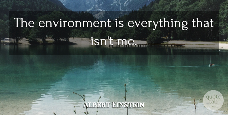 Albert Einstein Quote About Love, Life, God: The Environment Is Everything That...