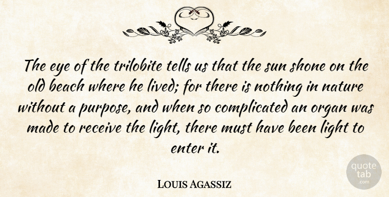 Louis Agassiz Quote About Beach, Nature, Eye: The Eye Of The Trilobite...