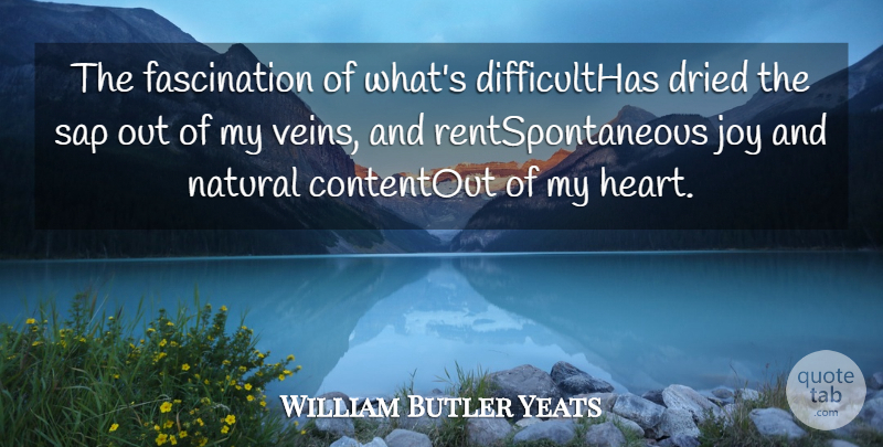 William Butler Yeats Quote About Dried, Joy, Natural, Sap: The Fascination Of Whats Difficulthas...