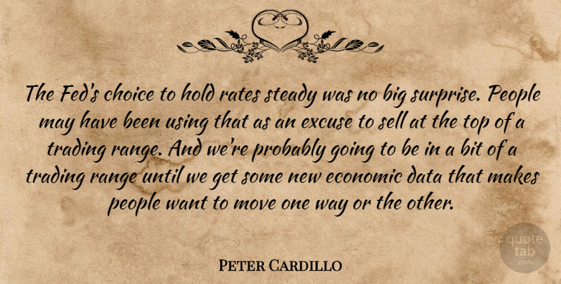 Peter Cardillo Quote About Bit, Choice, Data, Economic, Excuse: The Feds Choice To Hold...