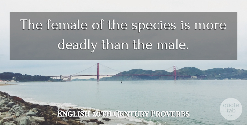 English 20th Century Proverbs Quote About Deadly, Female, Proverbs, Species: The Female Of The Species...