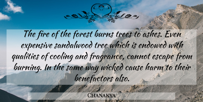 Chanakya Quote About Fire, Tree, Political: The Fire Of The Forest...