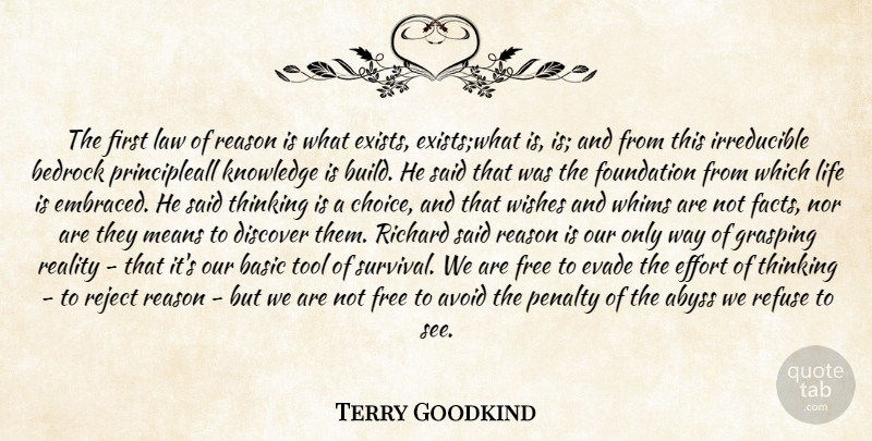 Terry Goodkind Quote About Abyss, Avoid, Basic, Bedrock, Discover: The First Law Of Reason...