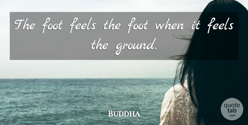 Buddha Quote About Indian Leader: The Foot Feels The Foot...