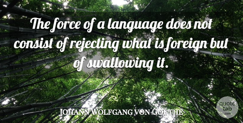 Johann Wolfgang von Goethe Quote About Doe, Swallowing, Language: The Force Of A Language...