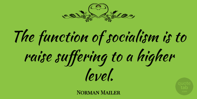 Norman Mailer Quote About Eugenics, Suffering, Levels: The Function Of Socialism Is...