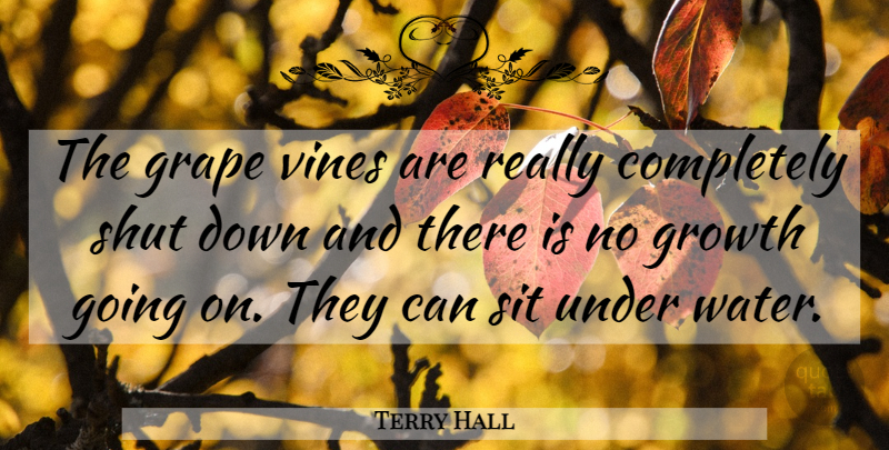 Terry Hall Quote About Grape, Growth, Shut, Sit, Vines: The Grape Vines Are Really...