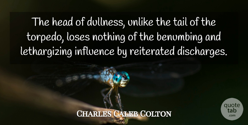 Charles Caleb Colton Quote About Tails, Influence, Torpedoes: The Head Of Dullness Unlike...