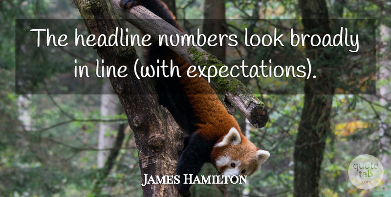 James Hamilton Quote About Headline, Numbers: The Headline Numbers Look Broadly...