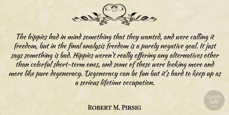 Robert M. Pirsig Quote About Fun, Hippie, Offering: The Hippies Had In Mind...