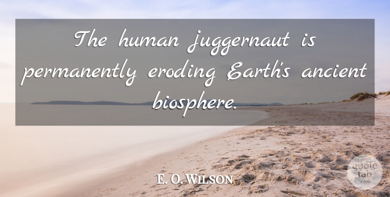 E. O. Wilson Quote About Earth, Juggernaut, Ancient: The Human Juggernaut Is Permanently...
