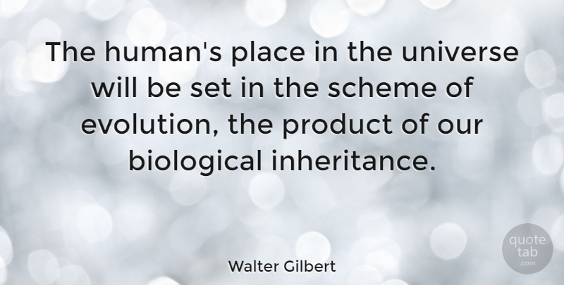 Walter Gilbert Quote About Inheritance, Evolution, Schemes: The Humans Place In The...