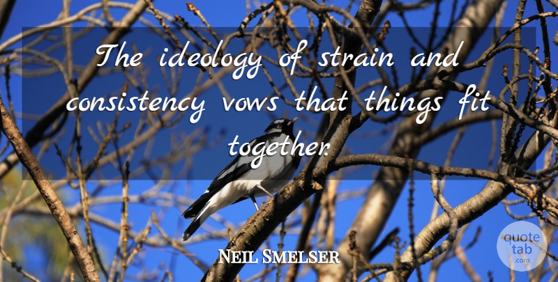 Neil Smelser Quote About Consistency, Fit, Ideology, Strain, Vows: The Ideology Of Strain And...