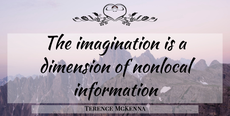 Terence McKenna Quote About Imagination, Dimensions, Information: The Imagination Is A Dimension...