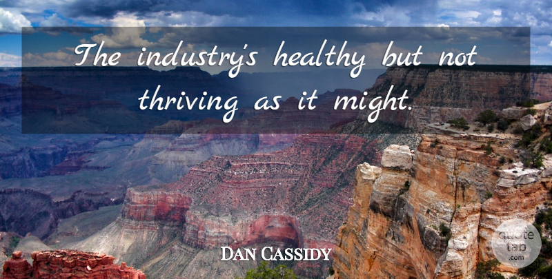 Dan Cassidy Quote About Healthy, Thriving: The Industrys Healthy But Not...