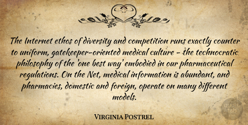 Virginia Postrel Quote About Best, Competition, Counter, Culture, Domestic: The Internet Ethos Of Diversity...