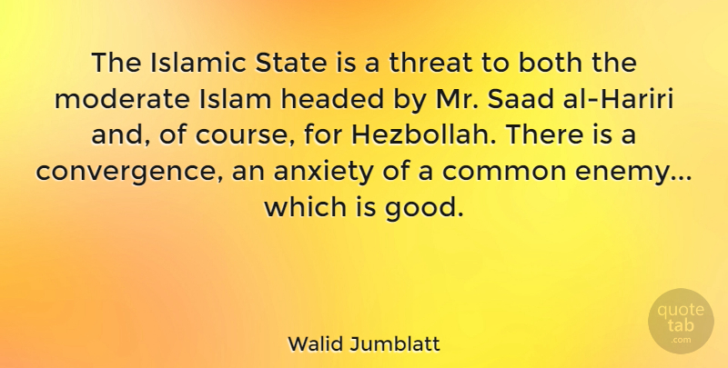 Walid Jumblatt Quote About Both, Common, Good, Headed, Islamic: The Islamic State Is A...