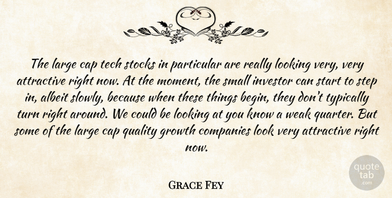 Grace Fey Quote About Albeit, Attractive, Cap, Companies, Growth: The Large Cap Tech Stocks...