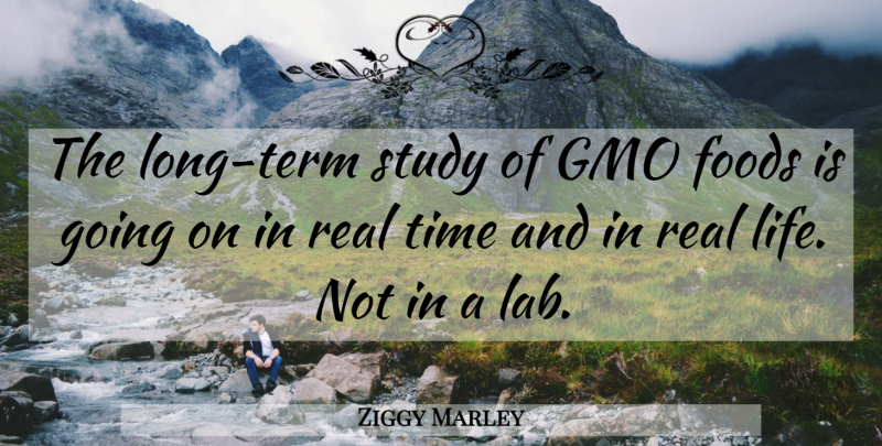 Ziggy Marley Quote About Real, Gmo Foods, Gmos: The Long Term Study Of...