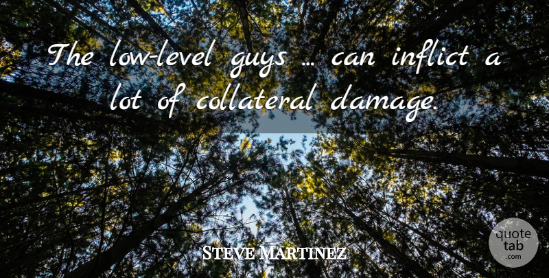 Steve Martinez Quote About Collateral, Guys, Inflict: The Low Level Guys Can...