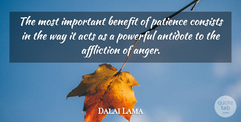 Dalai Lama Quote About Powerful, Inner Peace, Mind: The Most Important Benefit Of...
