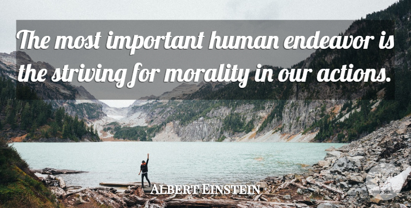 Albert Einstein Quote About Sports, Important, Our Actions: The Most Important Human Endeavor...