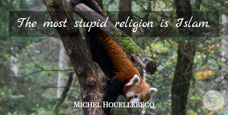 Michel Houellebecq Quote About Stupid, Islam: The Most Stupid Religion Is...