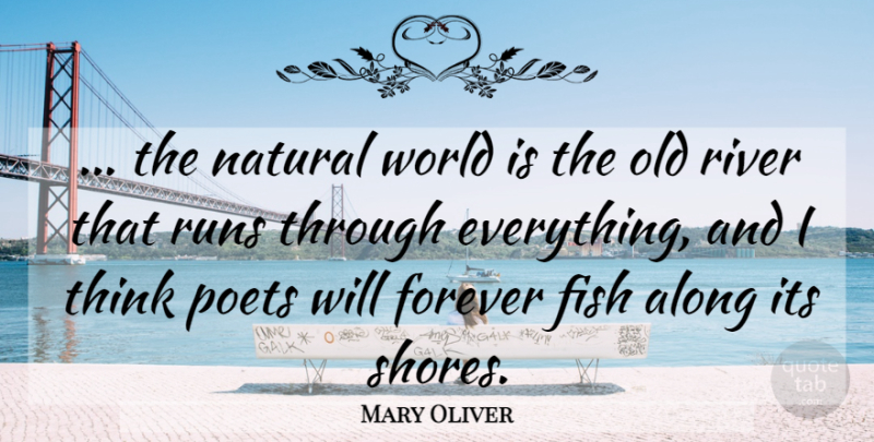 Mary Oliver Quote About Running, Thinking, Rivers: The Natural World Is The...
